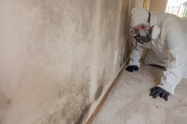 Best Mold Remediation for Healthcare Facilities  in Lisbon, ND